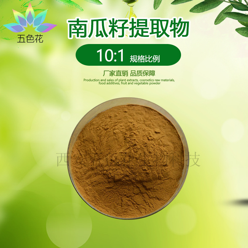 南瓜子提取物10:1 水溶性 南瓜籽原料粉  南瓜籽提取物 现货供应
