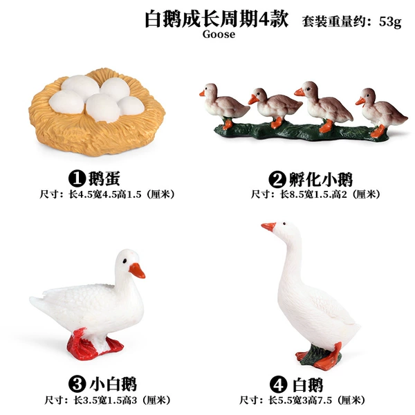 2415 White Goose growth cycle 4 sets