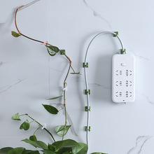绿萝固定器攀爬墙上花绿植绿箩家用卡扣环绿枝定型挂钩10个装