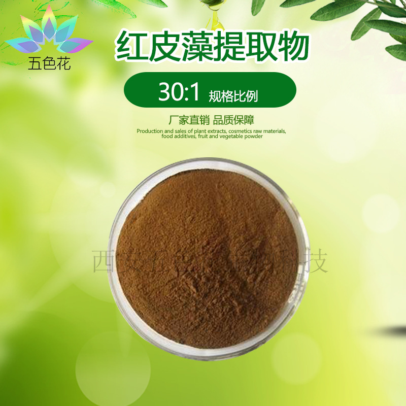 红皮藻提取物 30:1规格比例 掌状红皮藻提取物 红皮藻粉 厂家直发