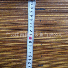 Bģľ庣Ϲ̼tģľ ֧ģ_z񱡾S|