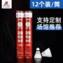 比赛常用场馆训练羽毛球