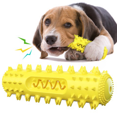 New Pet Supplies Hot on Amazon: Sounding Toys, Dog Chew Sticks, and Dental Chew Brushes for Dogs to Relieve Stress and Keep Teeth Healthy