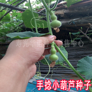 �F��������С���J�������^�p���ԹϹ��N��΢�;ƺ��J��ԭ�b10��