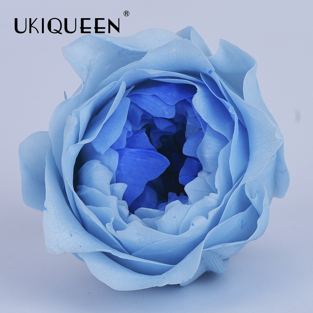 4-5cm 8 PCs A-level DIY flor eterna Austin subió la fábrica principal al por mayor Austin, Yunnan