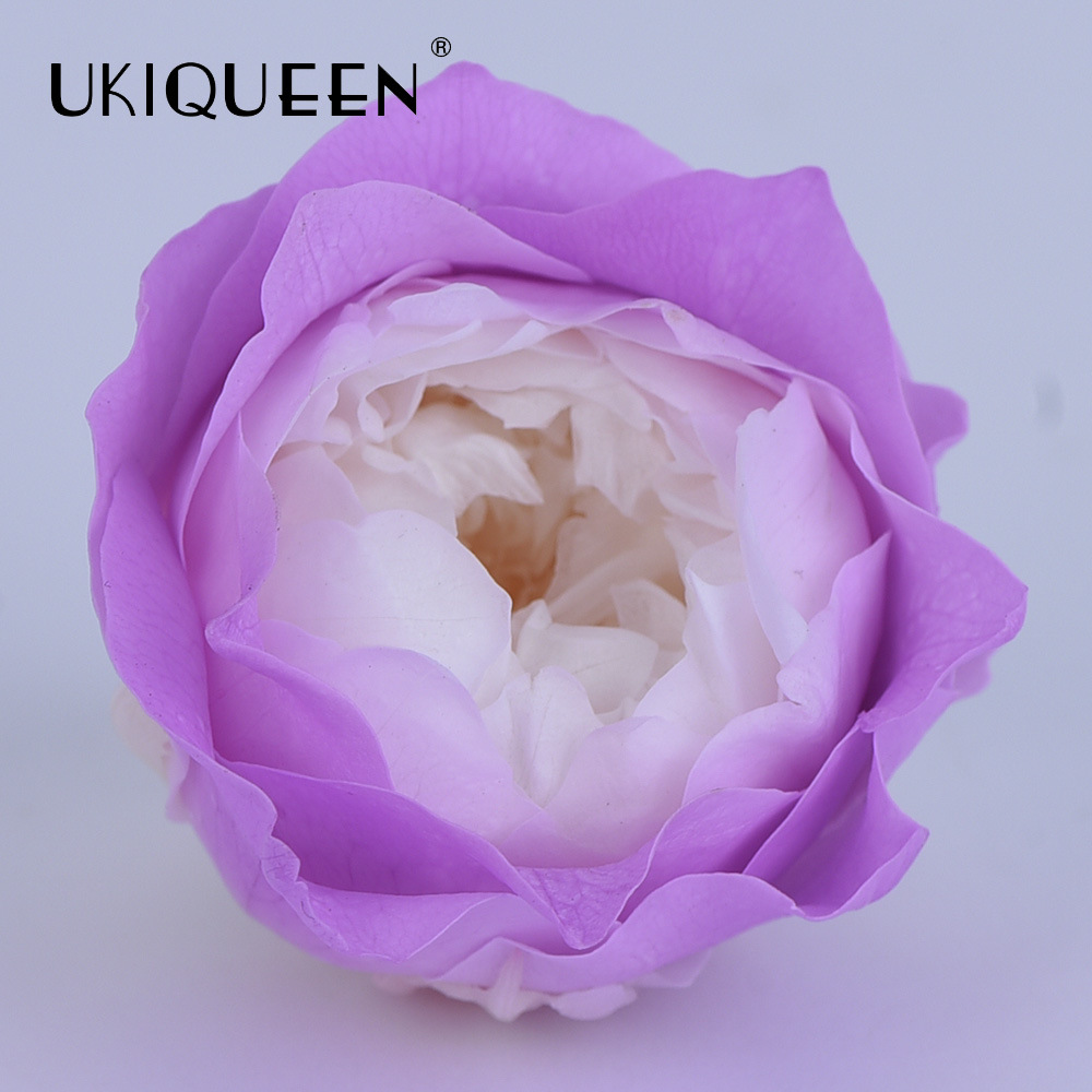 4-5cm 8 PCs A-level DIY flor eterna Austin subió la fábrica principal al por mayor Austin, Yunnan