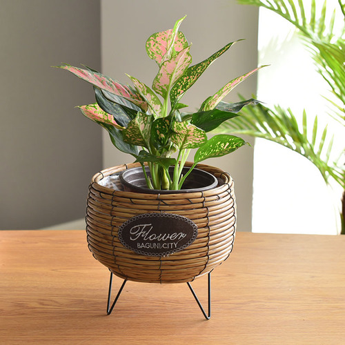 Large and small plastic rattan flower pots, desktop potted flower pots, floor-standing flower arrangements, rattan braided green plants, wrought iron metal flower stands