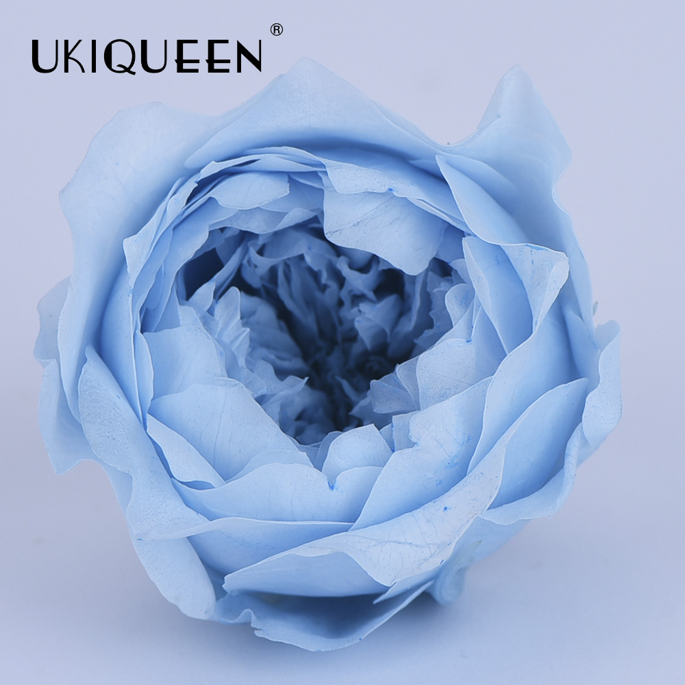 4-5cm 8 PCs A-level DIY flor eterna Austin subió la fábrica principal al por mayor Austin, Yunnan