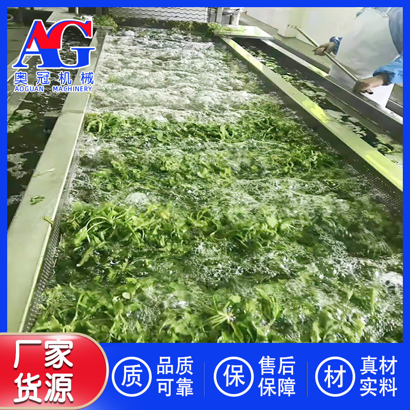 黑水虻清洗蒸煮漂汤流水线 洗鱼机火锅菜鼓泡式净菜清洗加工机器