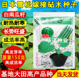 �ձ�ѩ�ɼ޽�������������ľ�N�� ���ϹϺ��J�N��ԭ�b150��