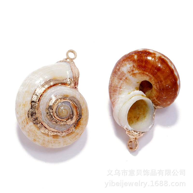 Золотая гальваника натуральная ракушка улитки пресной воды Pendant (Yibei), 2–3 см