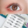 Transparent false eyelashes, fairy comics, natural makeup