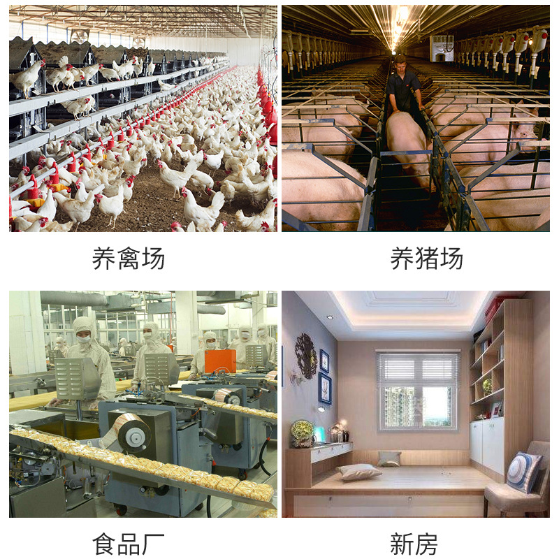 20g máquina de desinfección de ozono generador de ozono para granja cerdo granja esterilización desinfección ozono desodorante amoníaco gas