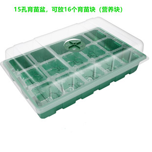 �羳�@ˇ��Ʒ��͸���w15��Ѩ�Pˮ��ֲ��Ǥ�������������������