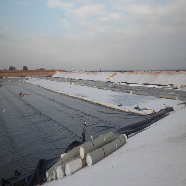 供应黑色聚乙烯土工膜化粪池环保防渗膜猪场沼液池HDPE膜厂家