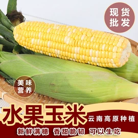 块茎类;其他蔬菜;西番莲百香果
