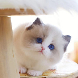 ��ż؈��؈���N؈��������̺��p�{�p��Ů؈����؈С؈�W�t��˹؈