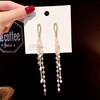 Advanced long earrings, 2021 collection, high-quality style, city style, internet celebrity, wholesale