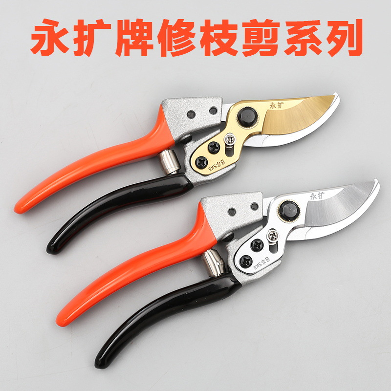 永扩修枝剪省力果树剪剪刀果树修枝剪刀树枝园林枝剪粗枝剪刀园林