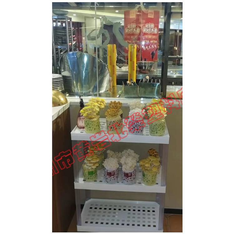 三层70*35超市大米鸡蛋蔬菜果酱菌菇食用油酒塑料陈列展示架