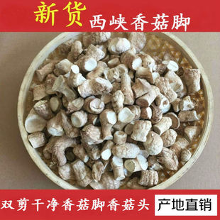 ���{�㹽 �㹽�^�p���㹽�_�㹽�ȸ�؛�㹽���r���㹽������ɢ�b