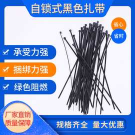 3系列厂家批发黑白色尼龙扎带自锁式束线带优质捆绑带塑料扎带