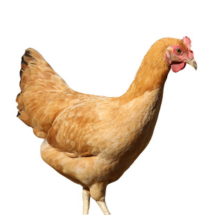 ��һ�����B���F�����S�u ͯ���u ���u С���u ���S�u ����r���u