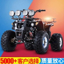 沙滩车;其他电动车;其他摩托车