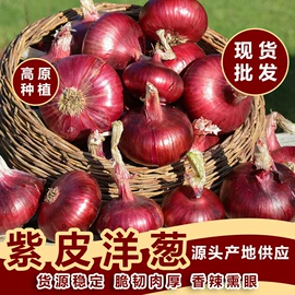 块茎类;其他蔬菜;西番莲百香果