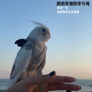 �W�^�w�б����K���p���w�����Kĵ�����LС̫����B���w�K