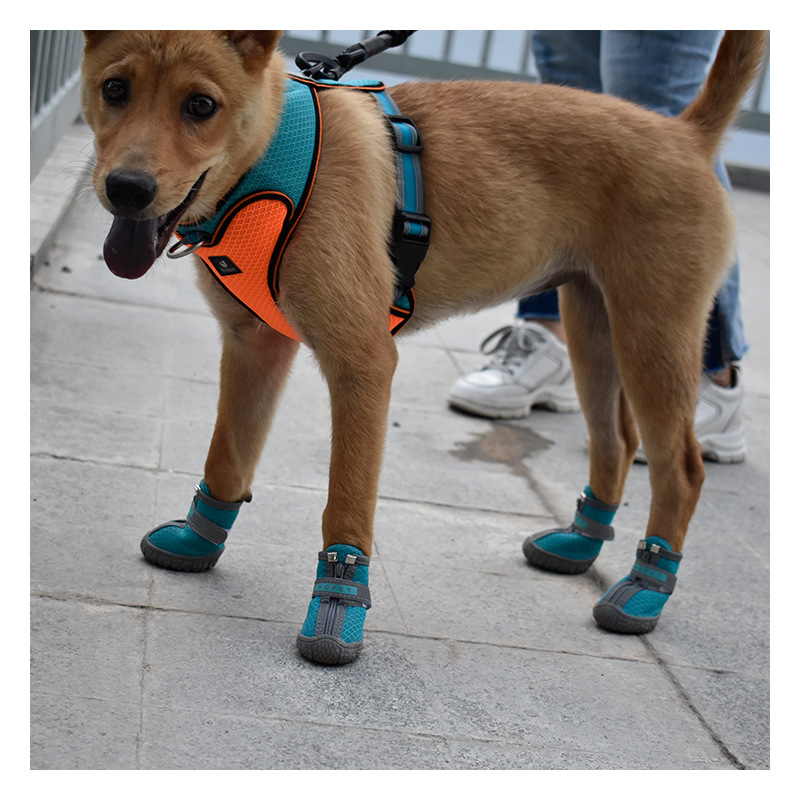 Venta caliente transfronteriza nuevos zapatos para perros para mascotas, zapatos para caminar al aire libre resistentes al desgaste y transpirables para perros pequeños, fábrica de zapatos Teddy Bichon al por mayor
