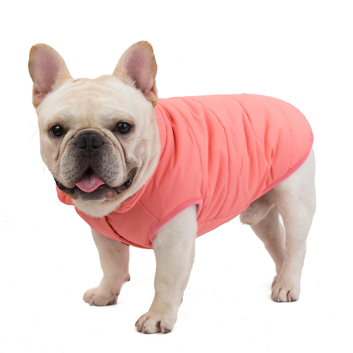 Ropa para mascotas ropa para perros Bulldog jingba PUG Shappi perro Otoño e Invierno Nuevo 18 Bulldog Chaleco de algodón