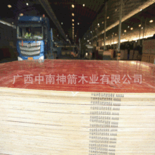 Bģ幤̸Ĥ 18mm tɫˮ ľػB