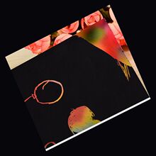 �S���L������ˮ����ī��ͯ�ιή��aƷ�_�l������ͯȤ����T�f