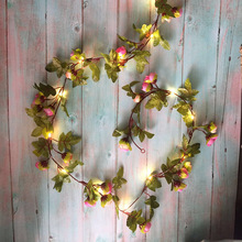 led�~�����}�Q�b��h�������������ɫõ�廨��YͥԺ�b���