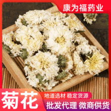 菊花 杭菊 贡菊 野菊花 胎菊 雪菊 器材菊中药材菊花 万寿菊500g