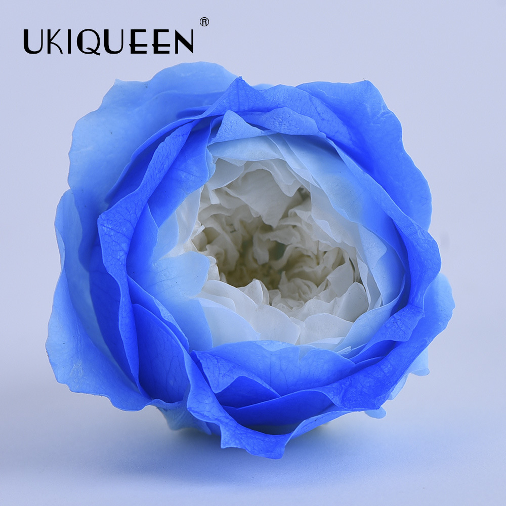 4-5cm 8 PCs A-level DIY flor eterna Austin subió la fábrica principal al por mayor Austin, Yunnan