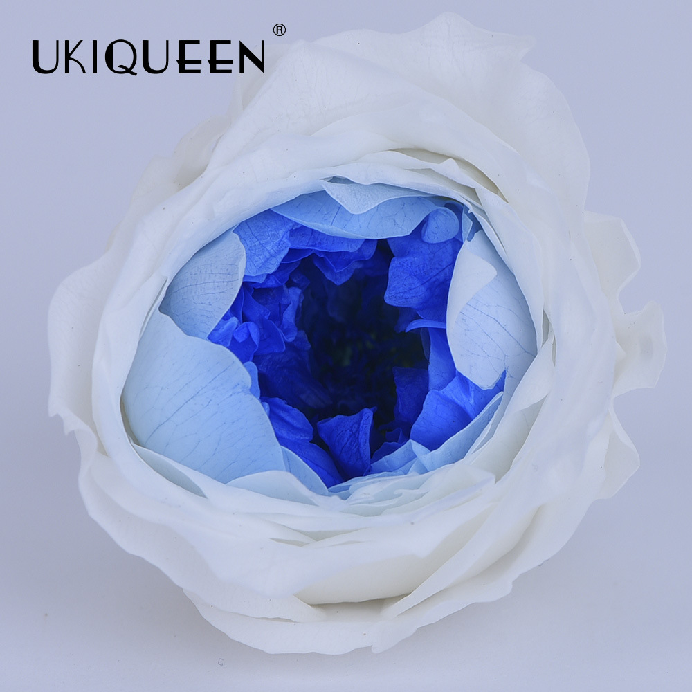 4-5cm 8 PCs A-level DIY flor eterna Austin subió la fábrica principal al por mayor Austin, Yunnan