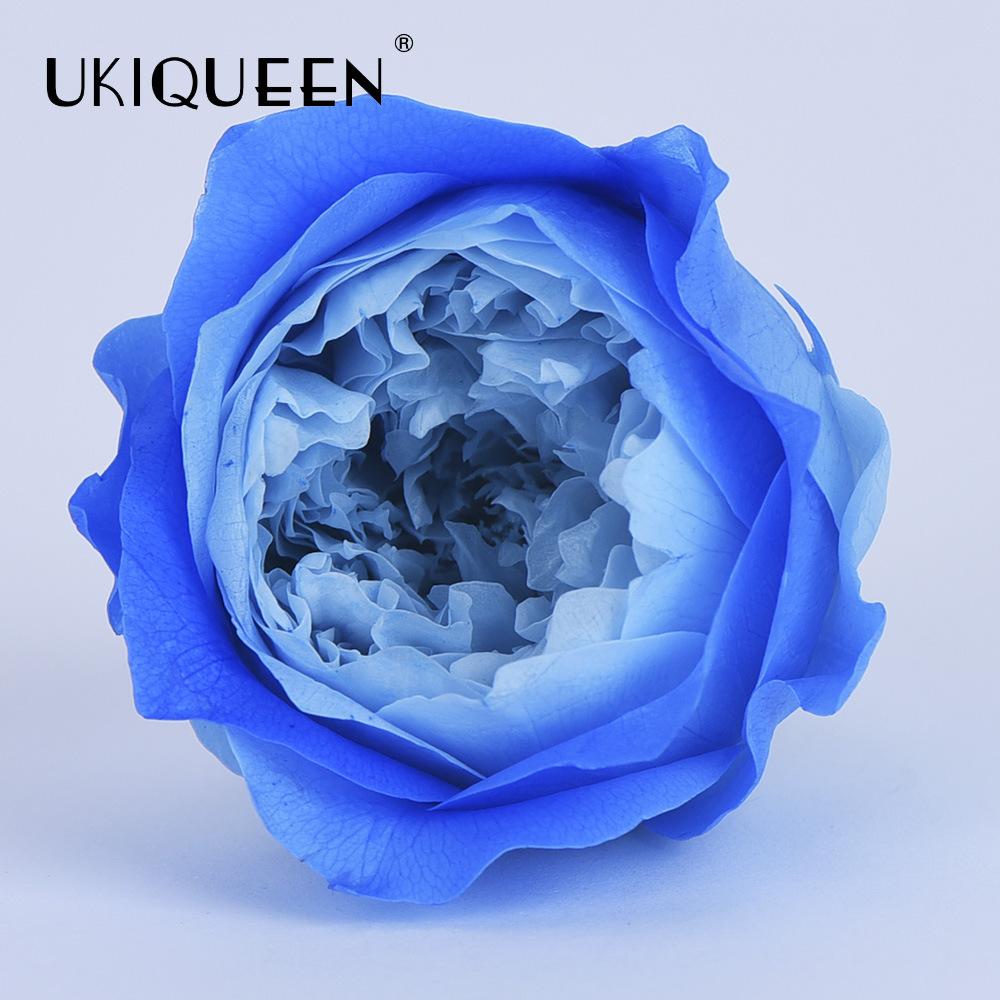 4-5cm 8 PCs A-level DIY flor eterna Austin subió la fábrica principal al por mayor Austin, Yunnan