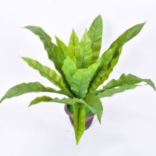 仿真过胶绿植热带雨林手感小蕨叶蕨类植物墙上绢花盆栽田园鸟巢叶