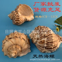 ���ݺ��ݿǱ��ǾƵ�ʯͷ�����ˮ���쾰װ�ε����׽̱걾DIY��Ȼ