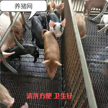�B�i�W �|韏S�Һ�ɫ�ֽz5mm����W ����܈�� ��\܈���W����