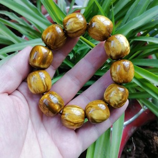 ��z�����ִ�Ѫ�����ϻ�����ɺ�������п�Ͱ��������