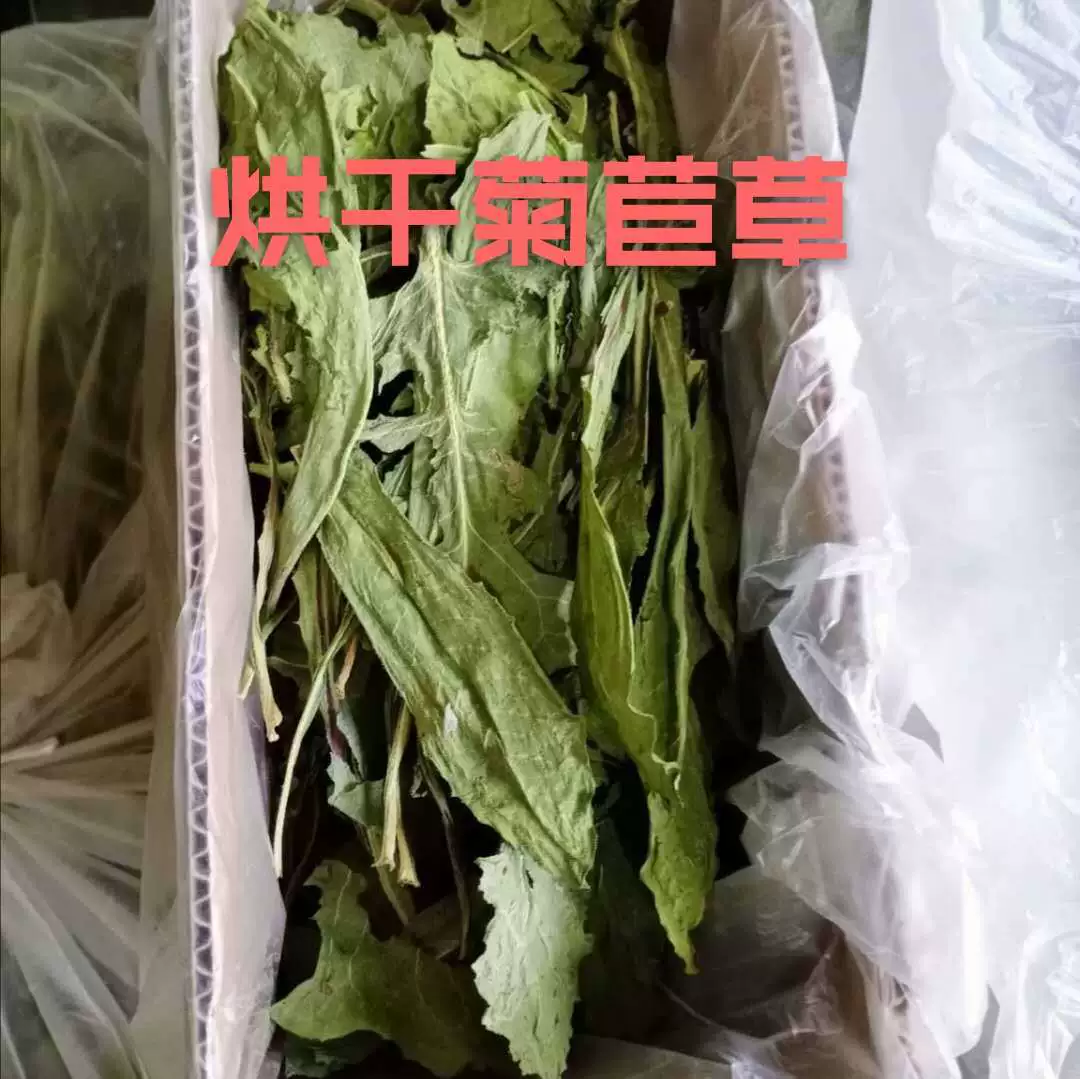 Новое сушеное сено из цикория для кроликов, шиншилл, морских свинок, корм для животных для чистки зубов, трава цикория, коробка 500 г