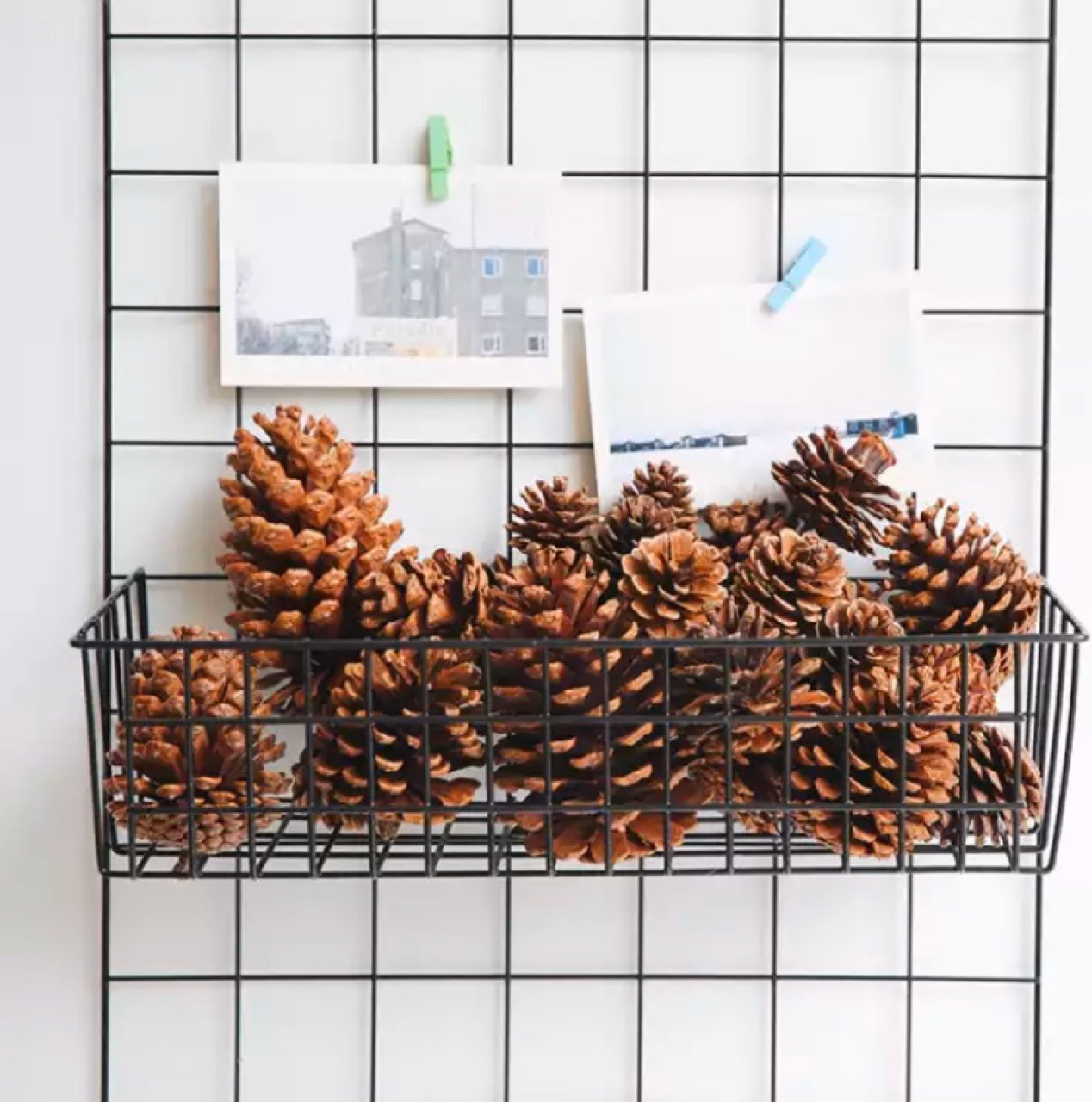 美国松果松塔摆件天然家居装饰复古干果拍摄拍照道具背景干花松子