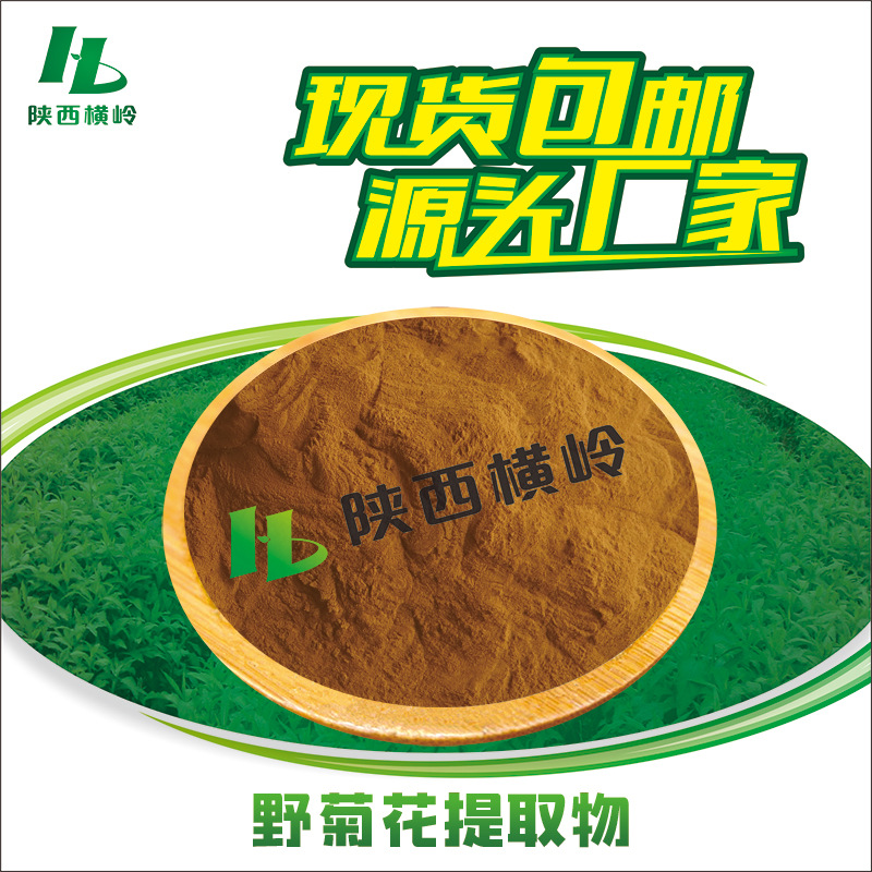 野菊花提取物 50:1高比例野菊花粉 含野菊花黄酮 1KG起订 水溶性