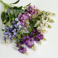 ����޹�²�5�^�n��޹�²� ����Gֲ����Y�b���ֲ�������