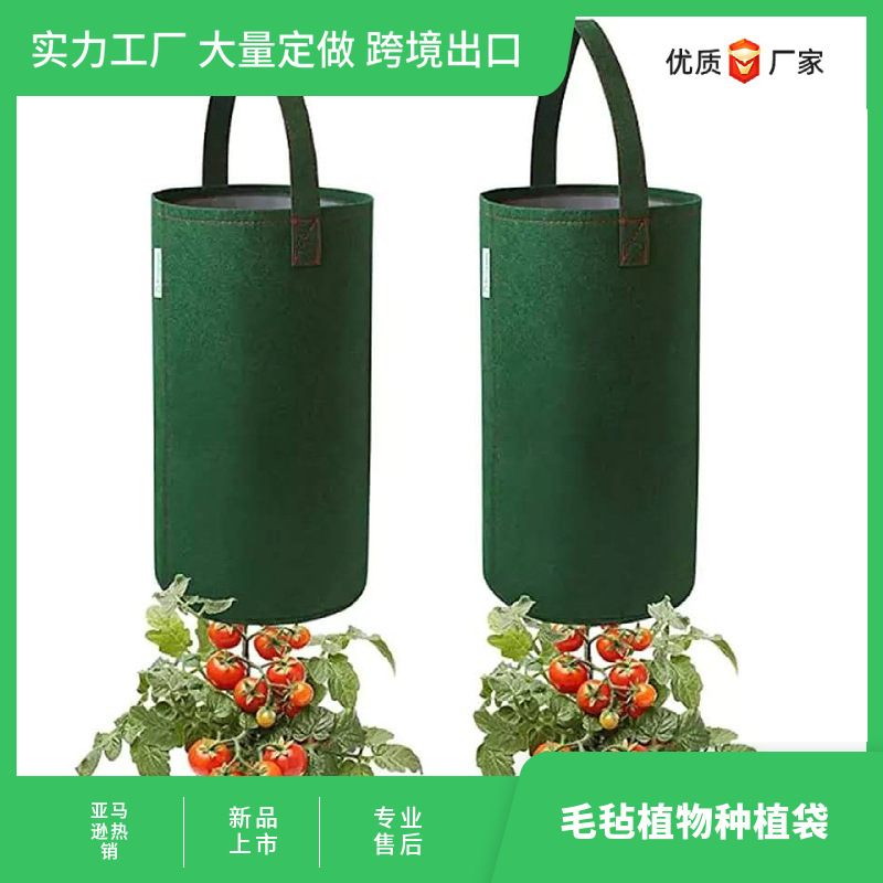 Amazon New Felt Planting Bag Hanging Strawberry Planting Bucket Flower Planting Hanging Basket Cultivation Bag Nursery Bag