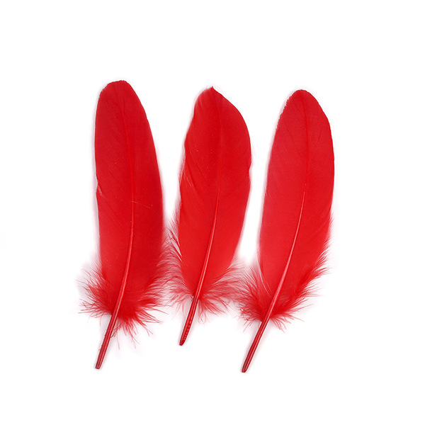 Supply wholesale DIY feathers hard big fluttering feathers wedding…