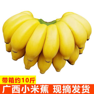 Десять фунтов бесплатной доставки Yunnan Banana Xigong Banana Xiaomi Banana Banana Tropical Fresh Fruit 10 фунтов оптом